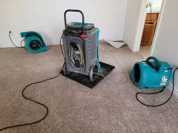 Best Mold removal after water damage  in Park City, KS