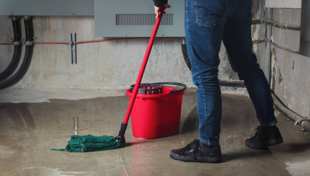 Best Professional water damage repair  in Park City, KS