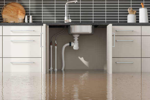 Best Flooded house restoration  in Park City, KS