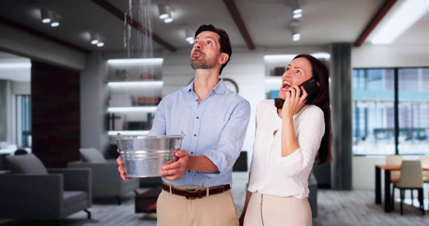 Best Flood restoration services  in Park City, KS